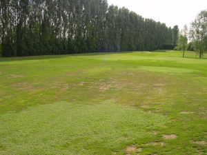 Estate_2003-fairway_buca_3