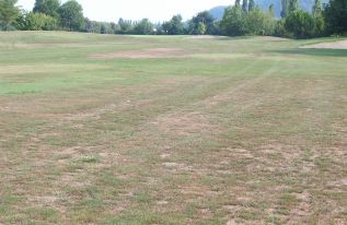 Estate_2003-fairway_buca_6