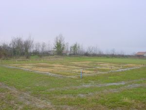 Vivaio_sperimentale_in_inverno