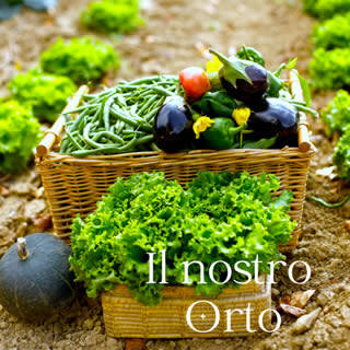 Orto bio Montecchia