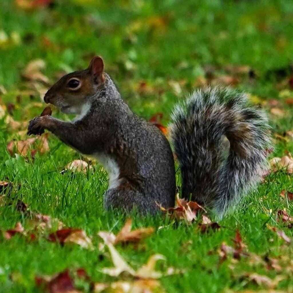 PHOTO 2021 02 18 21 40 52