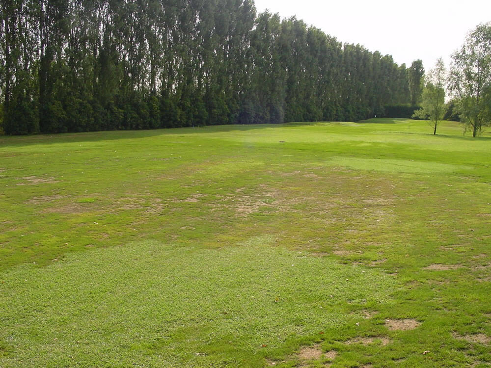 Estate_2003-fairway_buca_3