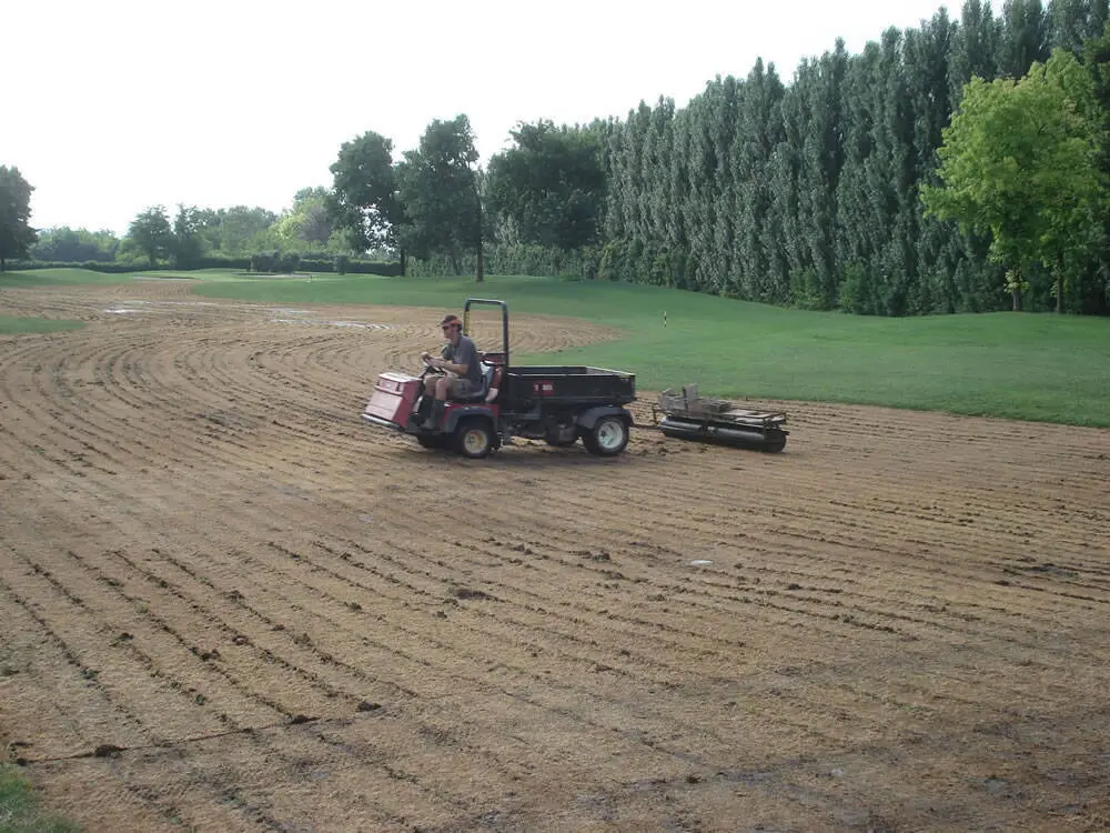 Rullatura_di_fine_trapianto