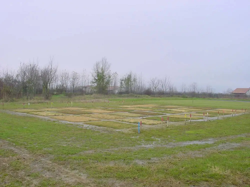 Vivaio_sperimentale_in_inverno