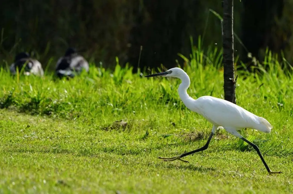 PHOTO 2021 02 18 21 40 52 2