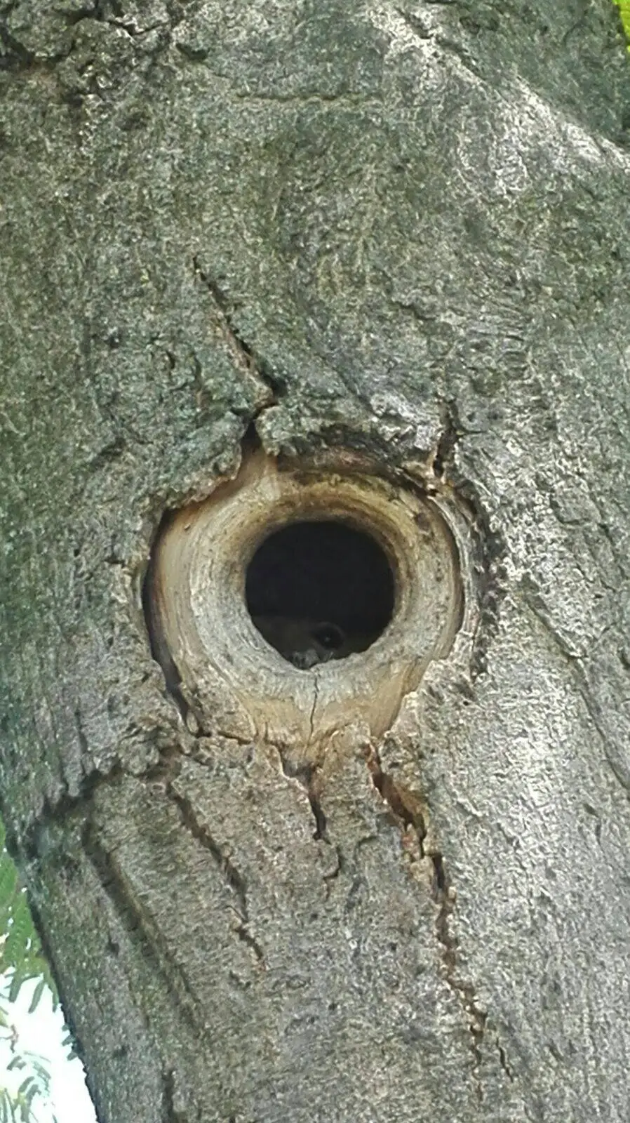 0aaab2b9 f01a 40be 8e11 26766af29972