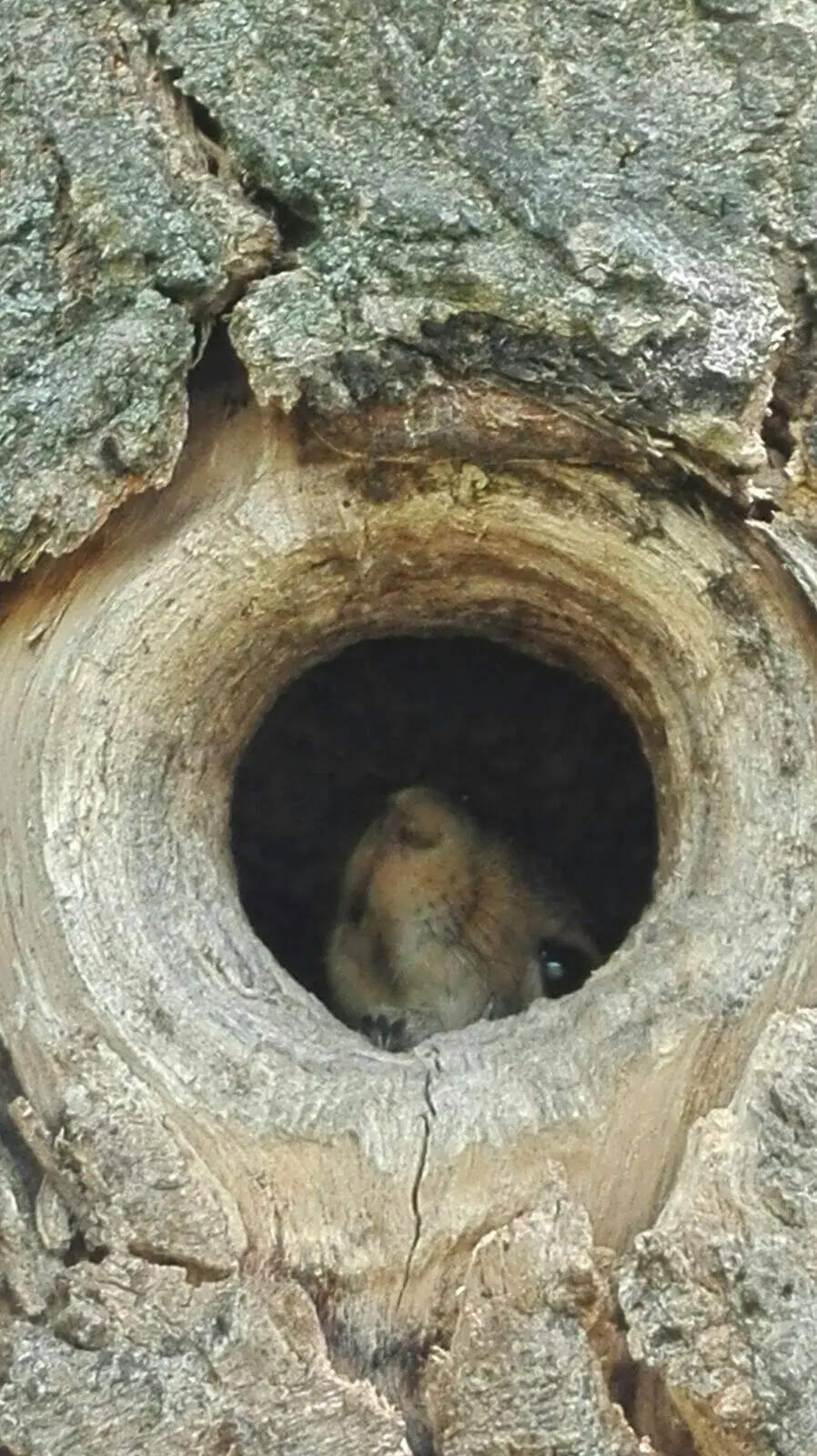 12a0c3dd 39d4 4761 8971 6695153d627f