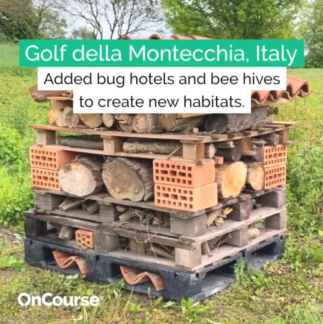 B - Costruita una “Insect house” sul Percorso Verde.