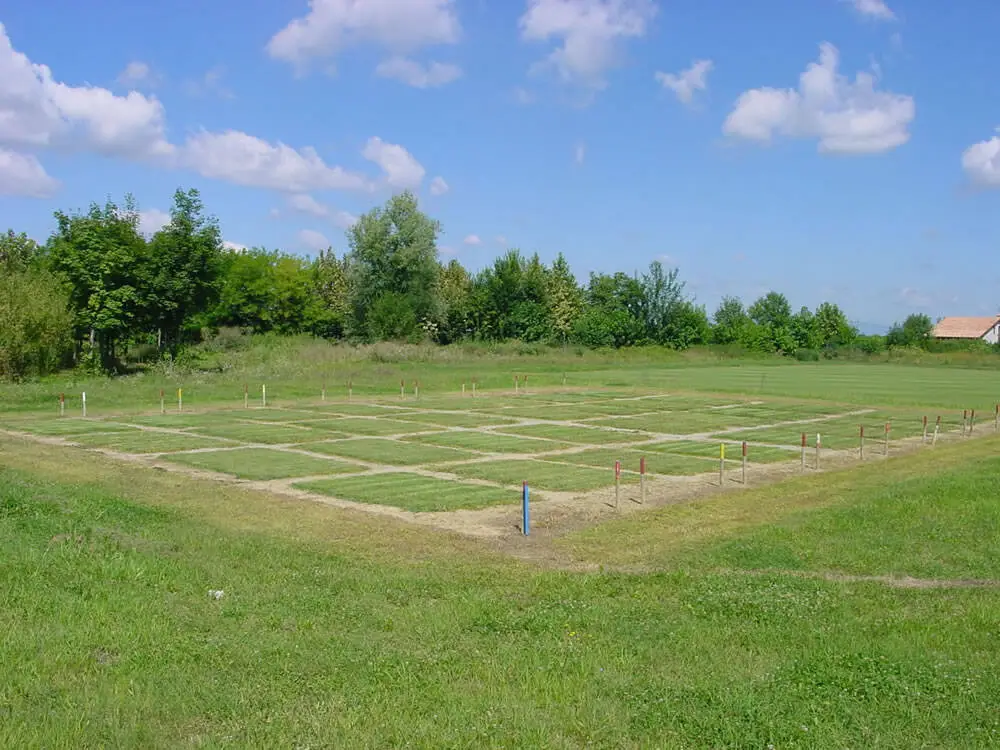 Vivaio_sperimentale_1_anno