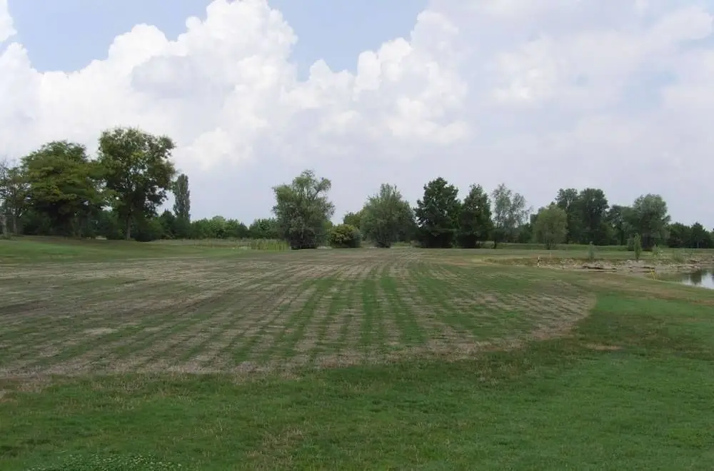 buca_13_14_luglio_2011