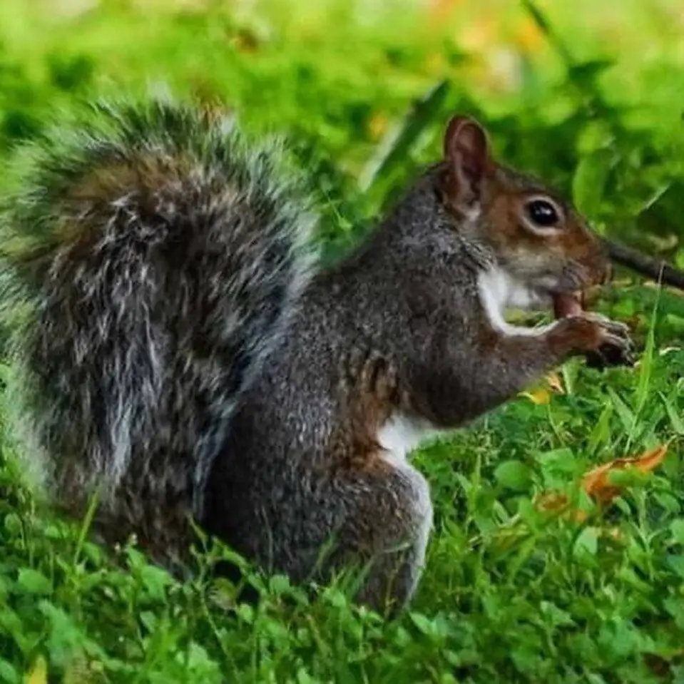 PHOTO 2021 02 18 21 40 52 1