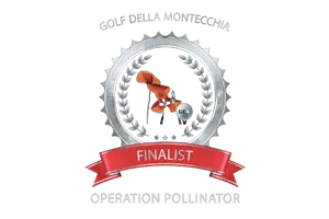 Golf Enviroment Award