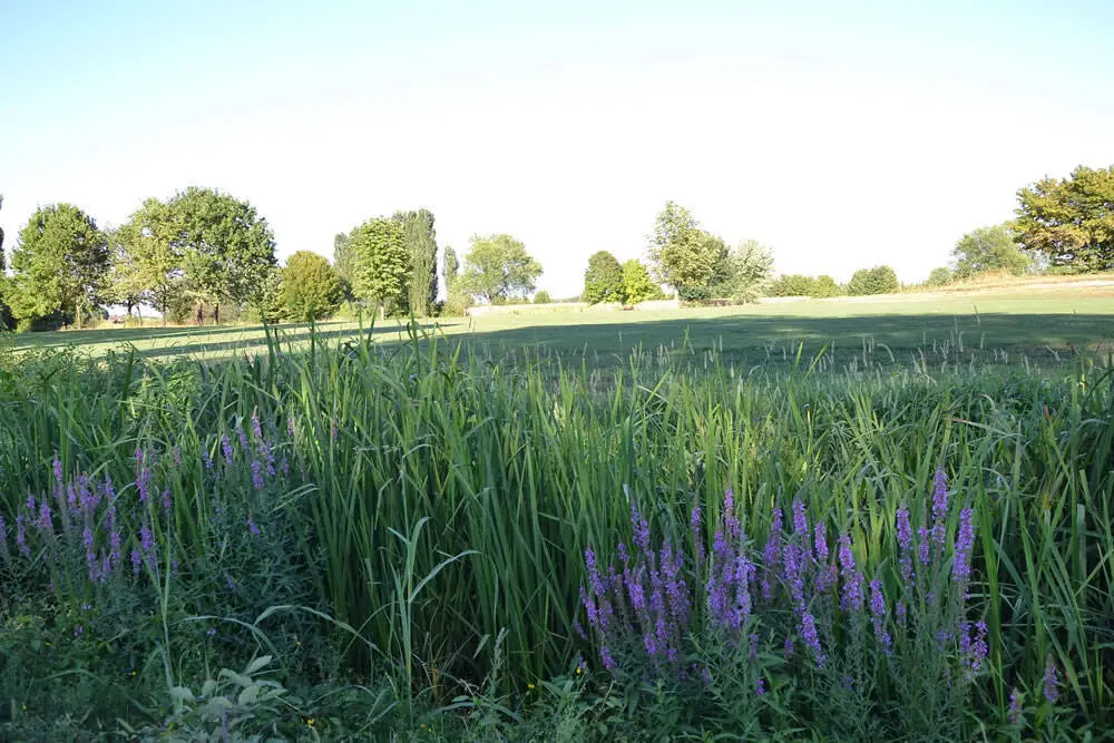 wild area sul percorso giallo 2