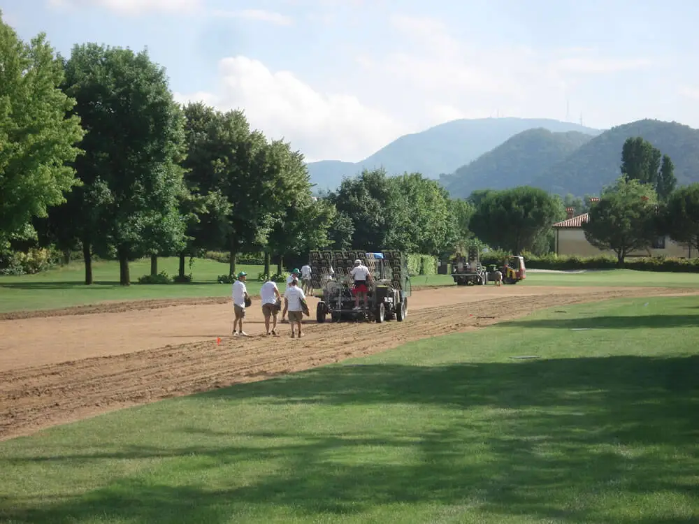 Macchina_trapiantatrice_in_azione