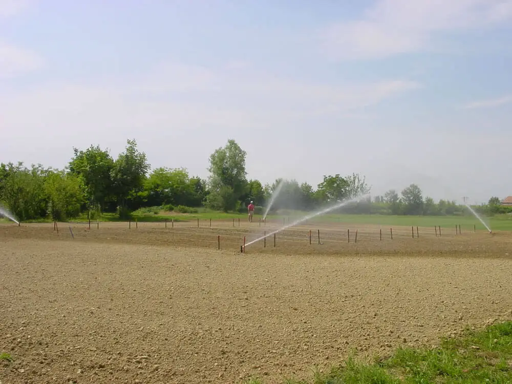 Vivaio_sperimentale-irrigazione_dopo_impianto