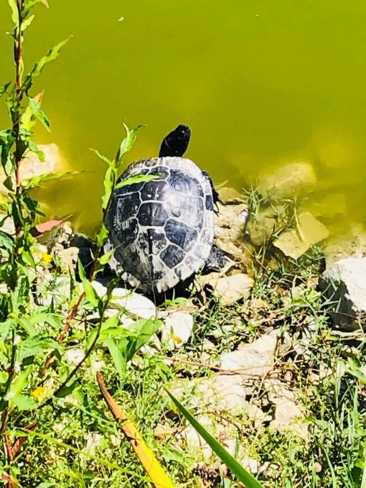 1dd83d91 f559 4134 a338 9cd04f2cde89